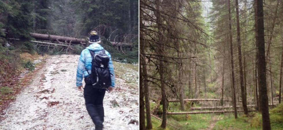 Escursioni in montagna, l'emergenza coronavirus blocca la manutenzione dei sentieri